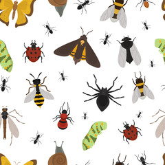 Fly insects wildlife entomology bug animal nature beetle biology buzz icon vector illustration pattern seamless background