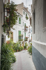 typical spanish white houses with flowers