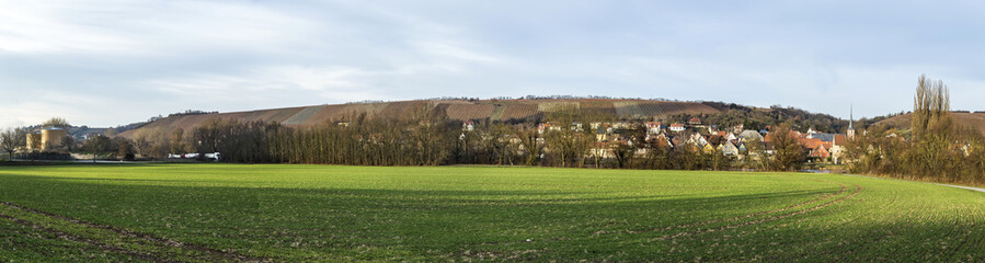 Fototapeta na wymiar view to village Frickenhausen at river Main