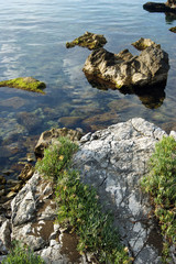 Stones by the sea shore