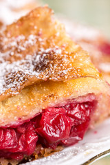 Closeup of homemade cherry cake with powdered sugar on the plate