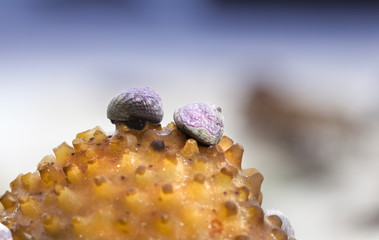 We climbed up together