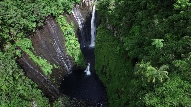 plan fixe sur cascade et resurgences dans foret primitive