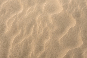 sand texture background - obrazy, fototapety, plakaty
