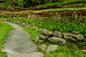 Concrete Pathway in garden