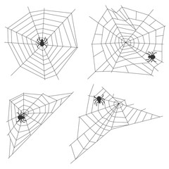 Spider web with a spider