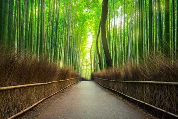 Foto op Canvas Bamboebos van Arashiyama bij Kyoto, Japan © Patryk Kosmider