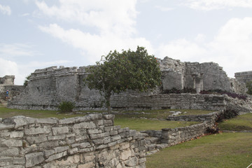 Fototapeta na wymiar Tulum Messico rovine maya 