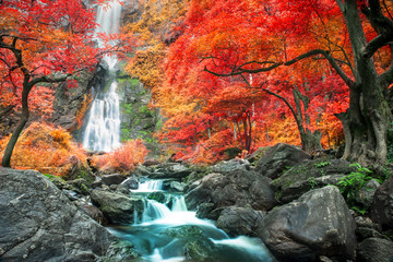 Fototapety  piękny wodospad w jesiennym lesie