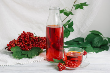 Still life with viburnum tea in cup and bottle on tablecloth on white wooden background
