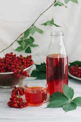 Still life with viburnum tea in cup and bottle on tablecloth on white wooden background