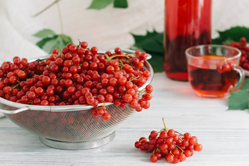 Still life with viburnum tea in cup and bottle on tablecloth on white wooden background