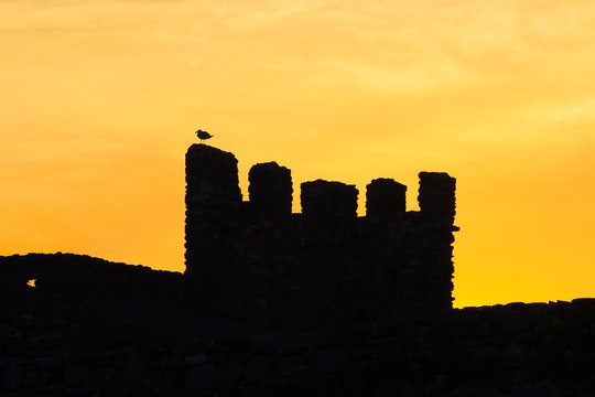 silhouette of bird atop castle wall at sunset sunrise