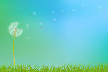 Abstract spring  background with dandelion flowers and grass, vector illustration.