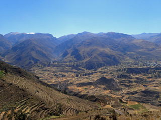 Fototapeta na wymiar Canyon del Colca, Arequipa, Peru