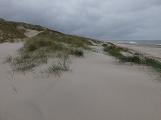 Sanddünen am Nordseestrand
