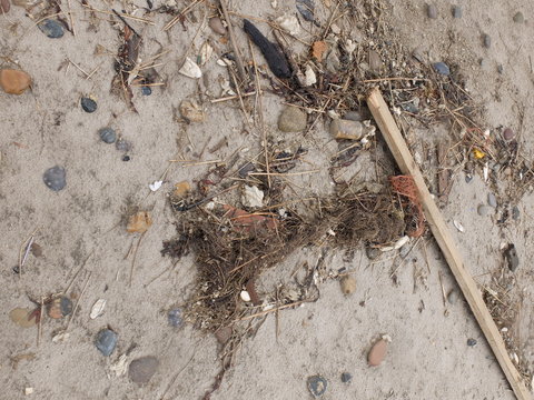 Strandungsabfall 