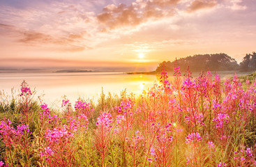 Panele Szklane Podświetlane  Sceneria wschód słońca nad morzem północnym w Szwecji, linia brzegowa z polnych kwiatów, zielona trawa na pierwszym planie, epickie niebo wschód słońca w tle.