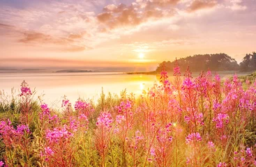 Photo sur Plexiglas Nature Paysage de lever de soleil sur la mer du Nord en Suède, côte avec des fleurs des champs, herbe verte au premier plan, ciel épique de lever de soleil en arrière-plan.