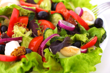 Salad of fresh vegetables and herbs on the table in the plate