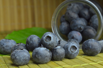 blueberry fresh fruits