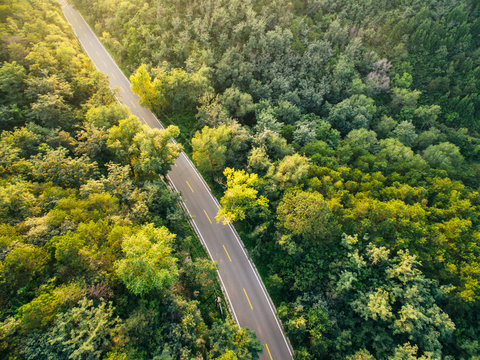 Aerial View Of Road In Mountain