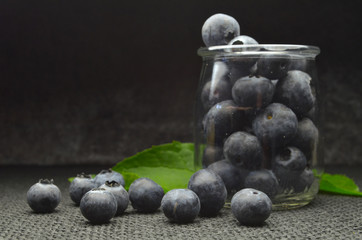 blueberries fresh fruits
