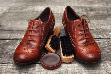 Pair of elegant shoes with brush