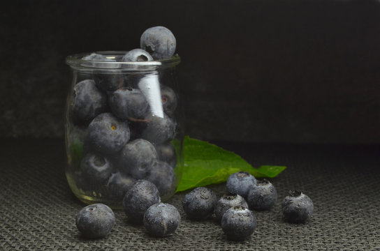 blueberries fresh bio diet eco 