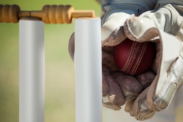 Hands of wicketkeeper catching ball behind stumps - Powered by Adobe