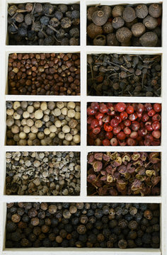 spices pepper set 