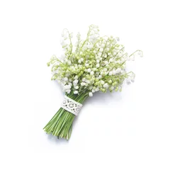 Abwaschbare Fototapete Maiglöckchen Blumenstrauß aus Maiglöckchen auf weißem Hintergrund