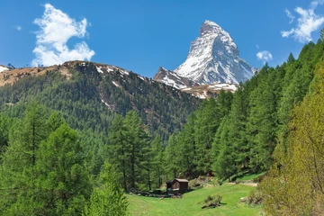 Crédence de cuisine en verre imprimé Cervin  meadow on the background of the Matterhorn