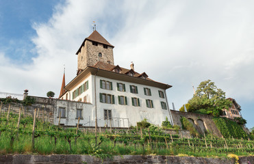 l castle in northern Italy