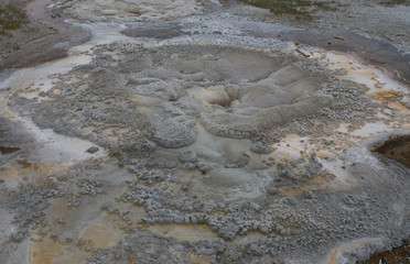 Scenic view of Anemone Geyser in Yellowstone National Park