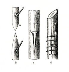 Shield budding (from Meyers Lexikon, 1896, 13/148) - obrazy, fototapety, plakaty