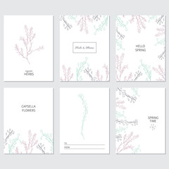 Hand drawn vector floral frame, Capsella flower, Shepherd's purse, Capsella bursa-pastoris, the entire plant, decorative label, greeting card, ink sketch isolated on white backdrop for design cosmetic