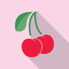 Cherry with branch and leaf. Vector illustration. EPS10