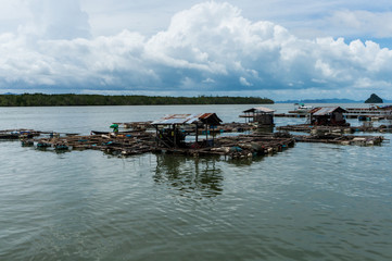 Small shrimp farms in Phang Nga Bay, Thailand
