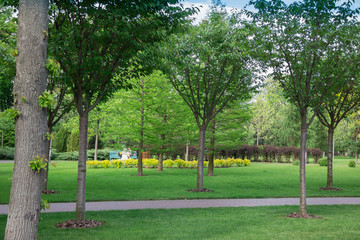 park, surrounded by a beautiful landscape with footpath and trees