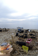 environmental pollution