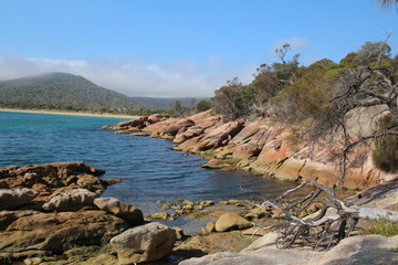 Honeymoon Bay Tasmanien