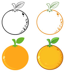 Orange Fresh Fruit With Green Leaf Cartoon Drawing 1.  Set Collection Isolated On White Background