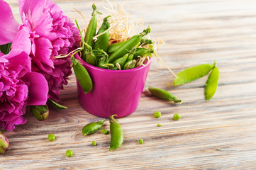 Purple pot with green peas and peonies.