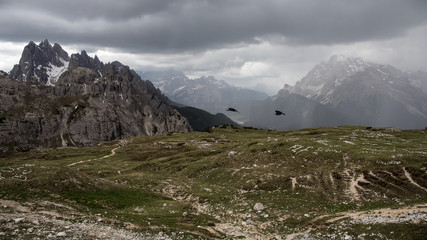 Dolomiti