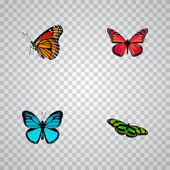 Fototapeta na wymiar Realistic Azure Peacock, Green Peacock, Sky Animal And Other Vector Elements. Set Of Moth Realistic Symbols Also Includes Blue, Bluewing, Butterfly Objects.
