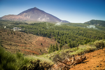 The Vulcano Pico del Teide with the La Orotava forest in the foreground.