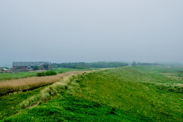 big green field with a foggy environment