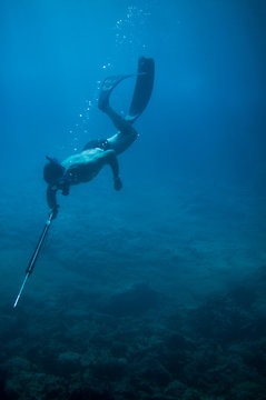Diver diving and looking for a fish to hunt