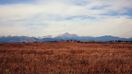 Obraz premium purple mountain - longs peak, colorado